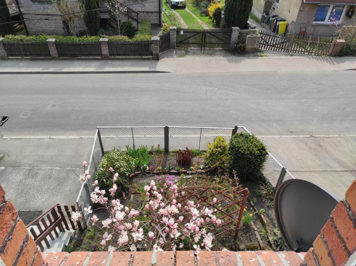 Apartament Pod Jalowcem Gory Sowie 533-543-732 เยดลินา ซดรูจ์ ภายนอก รูปภาพ